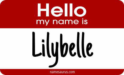 Hello my name is Lilybelle png download