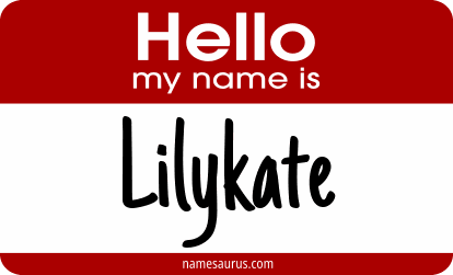 Hello my name is Lilykate png download