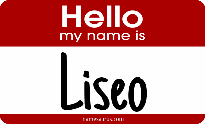 Hello my name is Liseo png download
