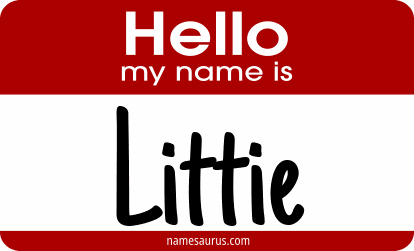 Hello my name is Littie png download