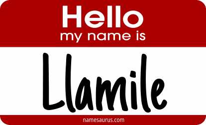 Hello my name is Llamile png download