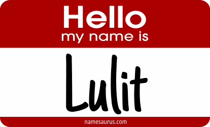 Hello my name is Lulit png download