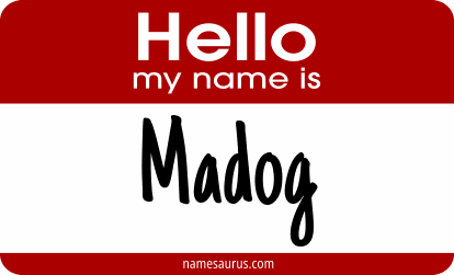 Hello my name is Madog png download