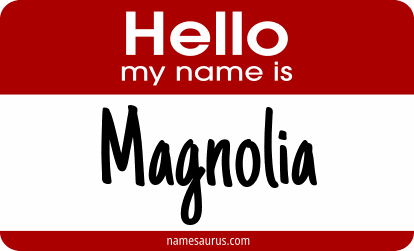 Hello my name is Magnolia png download