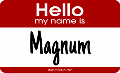 Hello my name is Magnum png download