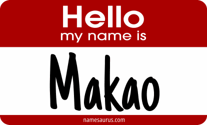 Hello my name is Makao png download