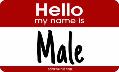 Hello my name is Male png download