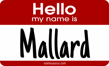 Hello my name is Mallard png download