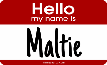 Hello my name is Maltie png download