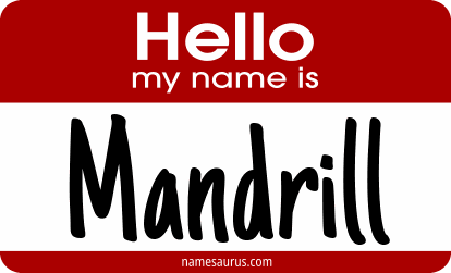 Hello my name is Mandrill png download