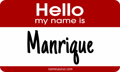 Hello my name is Manrique png download