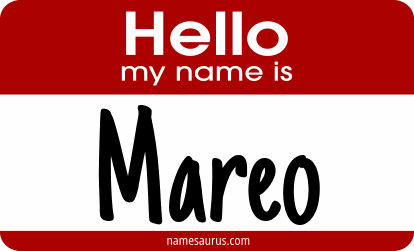 Hello my name is Mareo png download