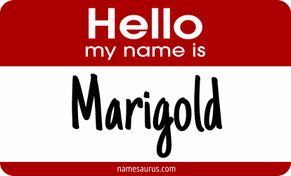 Hello my name is Marigold png download