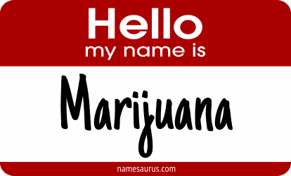 Hello my name is Marijuana png download