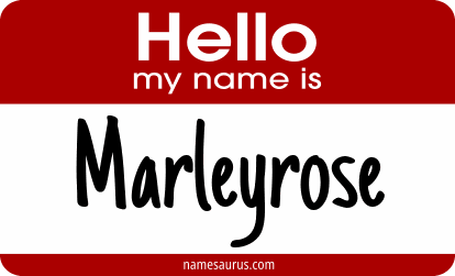 Hello my name is Marleyrose png download