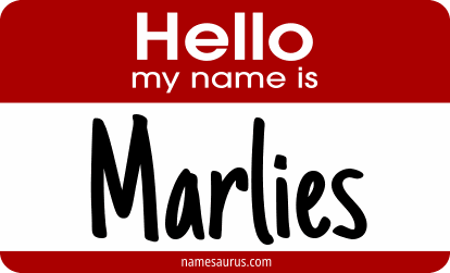 Hello my name is Marlies png download