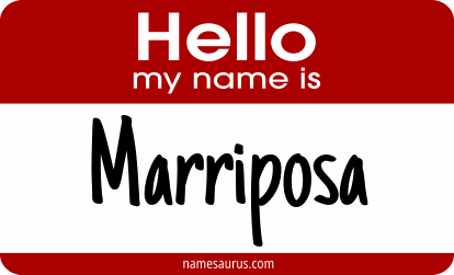 Hello my name is Marriposa png download