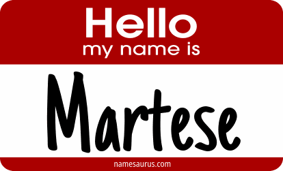 Hello my name is Martese png download