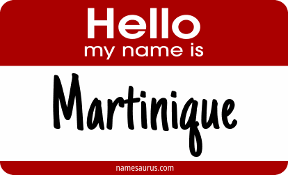 Hello my name is Martinique png download