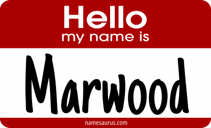 Hello my name is Marwood png download