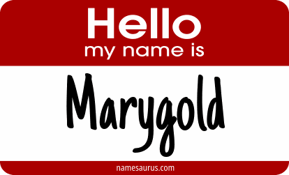 Hello my name is Marygold png download