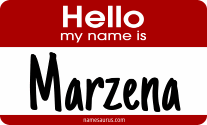 Hello my name is Marzena png download