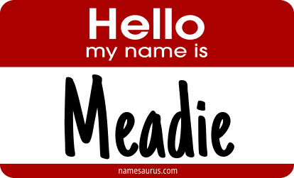 Hello my name is Meadie png download