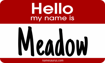 Hello my name is Meadow png download