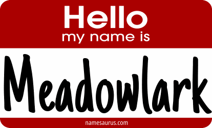Hello my name is Meadowlark png download