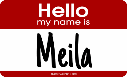 Hello my name is Meila png download