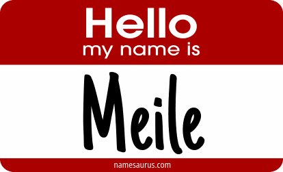 Hello my name is Meile png download