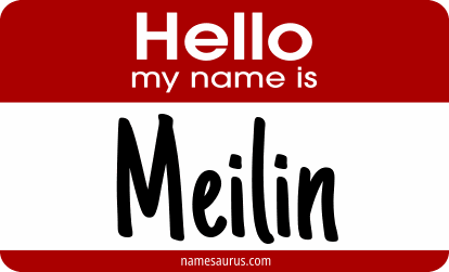 Hello my name is Meilin png download