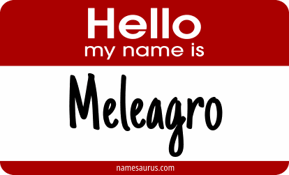 Hello my name is Meleagro png download