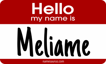 Hello my name is Meliame png download