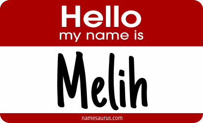 Hello my name is Melih png download