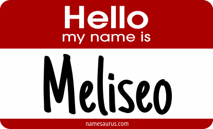 Hello my name is Meliseo png download