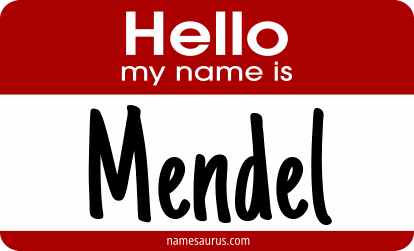 Hello my name is Mendel png download