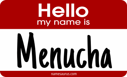 Hello my name is Menucha png download
