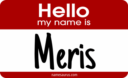 Hello my name is Meris png download