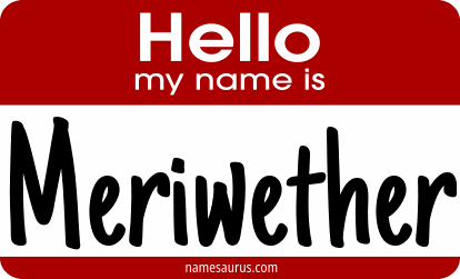 Hello my name is Meriwether png download