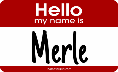 Hello my name is Merle png download