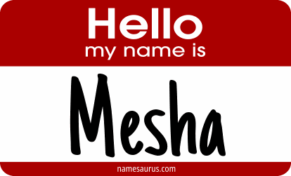 Hello my name is Mesha png download