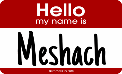 Hello my name is Meshach png download