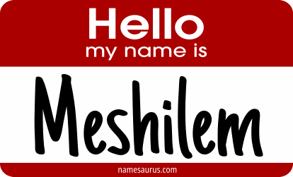 Hello my name is Meshilem png download