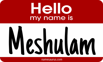 Hello my name is Meshulam png download
