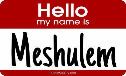 Hello my name is Meshulem png download