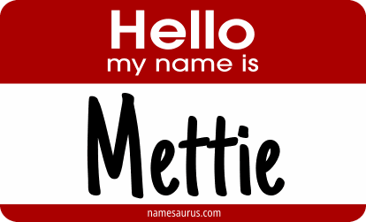 Hello my name is Mettie png download