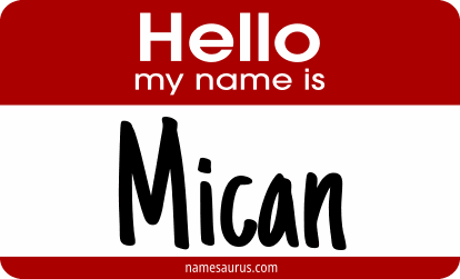 Hello my name is Mican png download