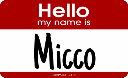 Hello my name is Micco png download