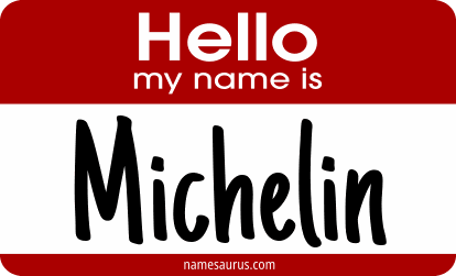 Hello my name is Michelin png download